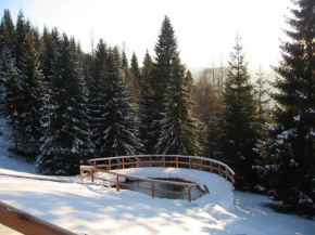 Гостиница Chalet Nel Doch Villa Cheia  Каналь-Сан-Бово